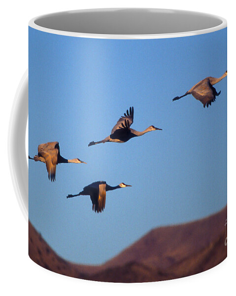 Birds Coffee Mug featuring the photograph Sandhill cranes #5 by Steven Ralser