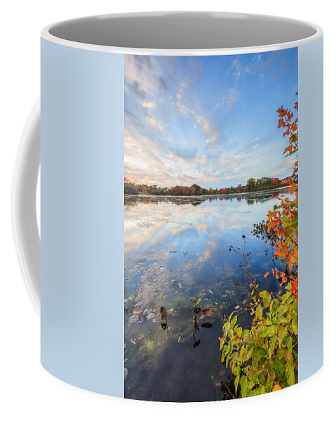 Fall Coffee Mug featuring the photograph Shad Sunset #5 by Bryan Bzdula