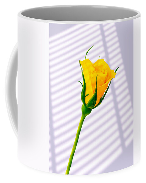 Blinds Coffee Mug featuring the photograph Yellow Rose #5 by Mark Llewellyn