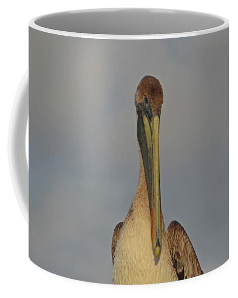  Coffee Mug featuring the photograph 50- Brown Pelican by Joseph Keane