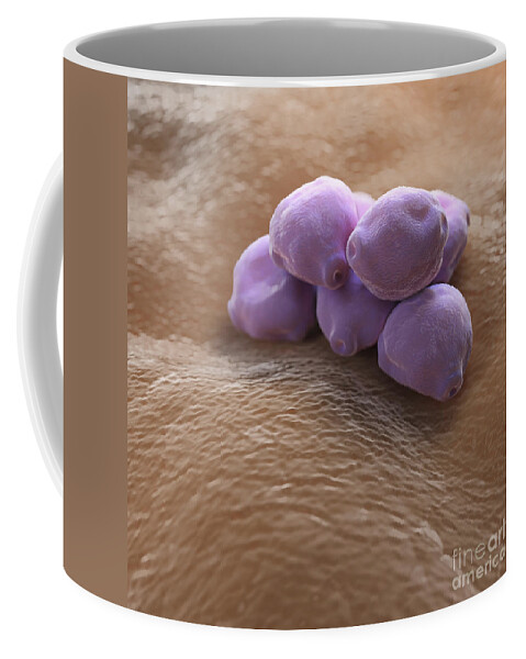 Allergies Coffee Mug featuring the photograph Birch Tree Pollen #6 by Science Picture Co
