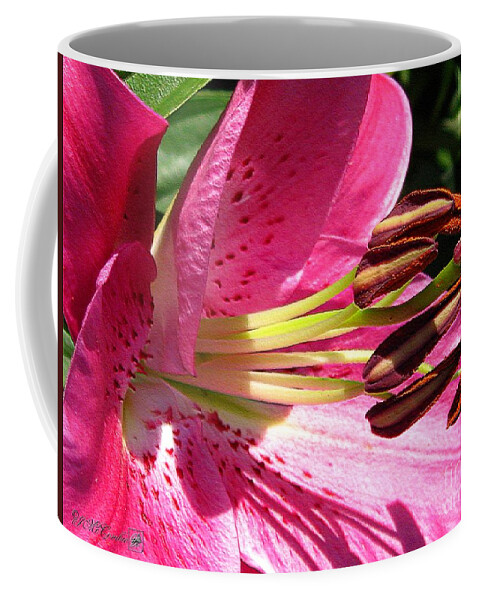 Dwarf Coffee Mug featuring the photograph Dwarf Oriental Lily named Farolito #6 by J McCombie
