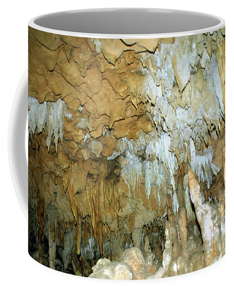 Florida Caverns State Park Coffee Mug featuring the photograph Florida Caverns State Park #6 by Millard H. Sharp