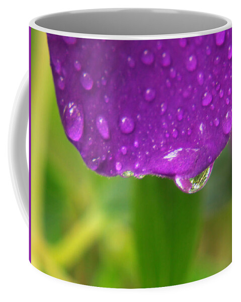 Flower Coffee Mug featuring the photograph Flower #6 by Dart Humeston