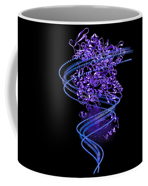 3-dimensional Coffee Mug featuring the photograph Protein Catabolism, Illustration #6 by Ella Marus Studio