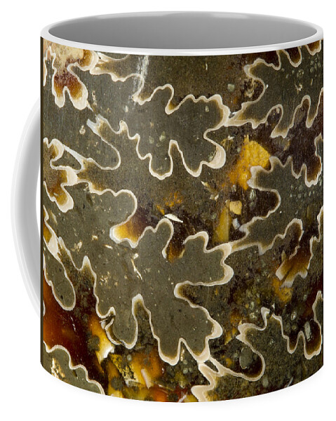 Design Coffee Mug featuring the photograph Swirled Rock Pattern by Jean Noren