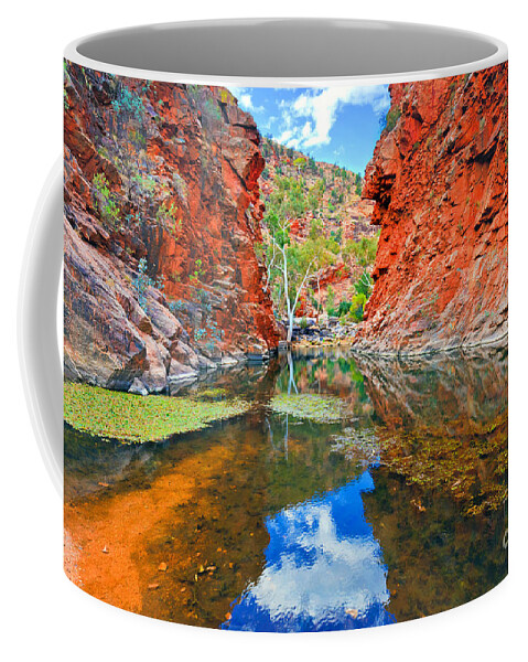 Serpentine Gorge Central Australia Northern Territory Outback Landscape Australian Gum Tree Water Hole Coffee Mug featuring the photograph Serpentine Gorge Central Australia #7 by Bill Robinson