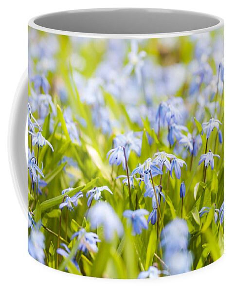 Flowers Coffee Mug featuring the photograph Spring blue flowers 2 by Elena Elisseeva