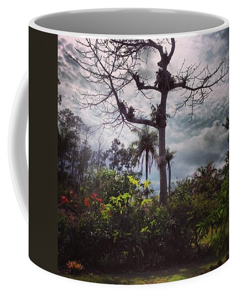 Beautiful Coffee Mug featuring the photograph Instagram Photo #641418213683 by Katie Cupcakes