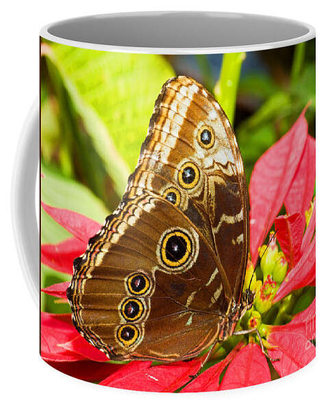 Fauna Coffee Mug featuring the photograph Blue Morpho Butterfly #7 by Millard H. Sharp