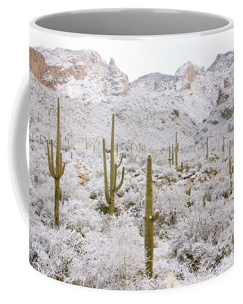 Arizona Flora Coffee Mug featuring the photograph Rare Desert Snow On Saguaro Cactus #7 by Craig K. Lorenz