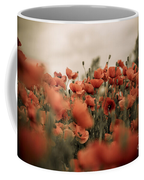 Poppy Coffee Mug featuring the photograph Red Poppy Flowers by Nailia Schwarz