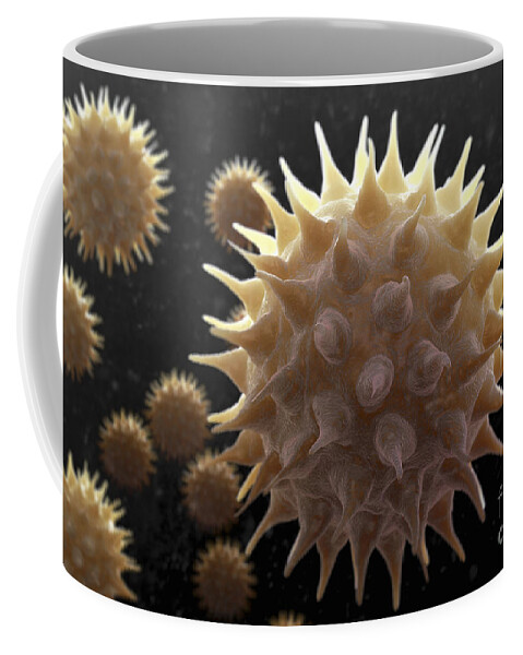 Allergies Coffee Mug featuring the photograph Sunflower Pollen #7 by Science Picture Co