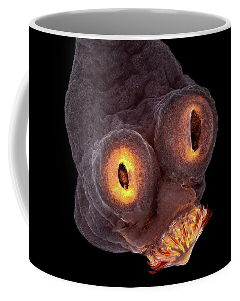 Confocal Coffee Mug featuring the photograph Tapeworm by Teresa Zgoda