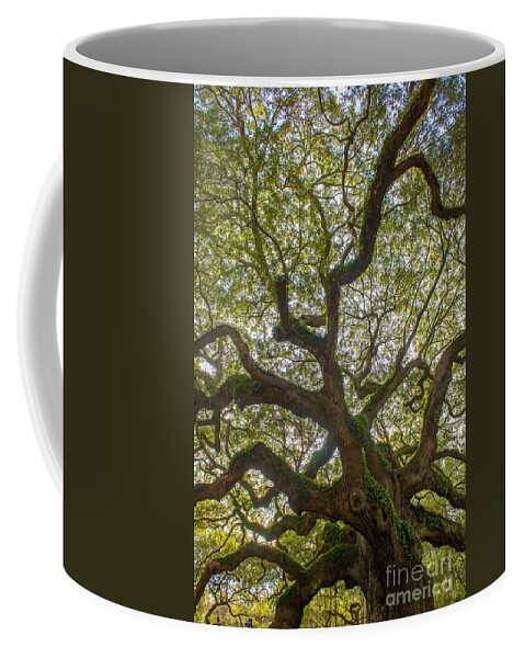 Angel Oak Tree Coffee Mug featuring the photograph Island Angel Oak Tree by Dale Powell