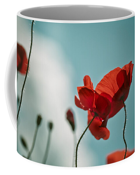 Poppy Coffee Mug featuring the photograph Poppy Meadow #8 by Nailia Schwarz