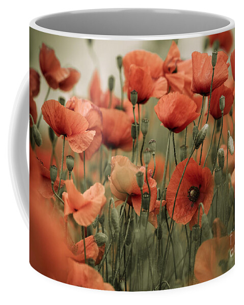 Poppy Coffee Mug featuring the photograph Red Poppy Flowers #8 by Nailia Schwarz