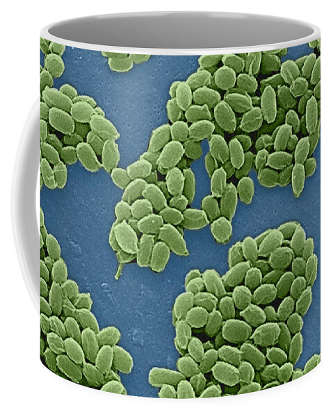 Science Coffee Mug featuring the photograph Anthrax Bacteria Sem #9 by Science Source