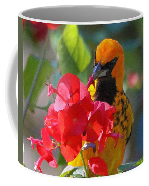 Birds Coffee Mug featuring the photograph Spot-Breasted Oriole #9 by Dart Humeston