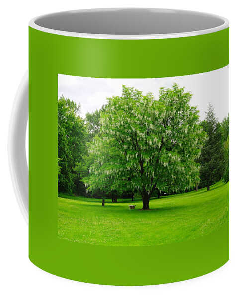 Trees Coffee Mug featuring the photograph A  Bench Below The Blooms by Jeff Swan