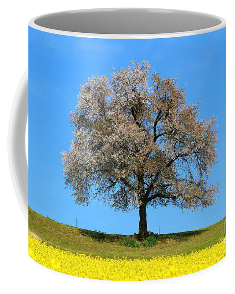  Agriculture Coffee Mug featuring the photograph A blooming lone Tree in Spring with canolas in front 2 by Amanda Mohler