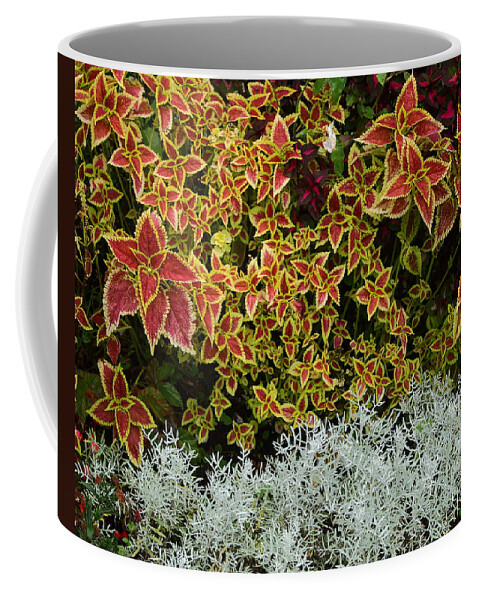 Gardens Coffee Mug featuring the photograph A Botanical Garden by Robert McKinstry