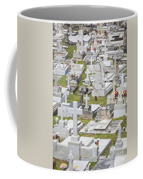 Del Morro Coffee Mug featuring the photograph A Cemetery In Old San Juan Puerto Rico by Bryan Mullennix