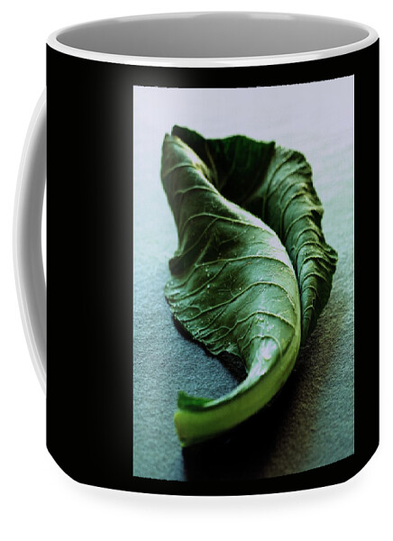 A Collard Leaf Coffee Mug