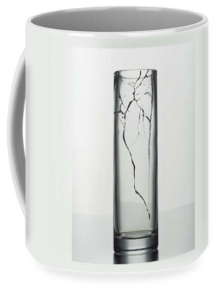A Cracked Vase Coffee Mug