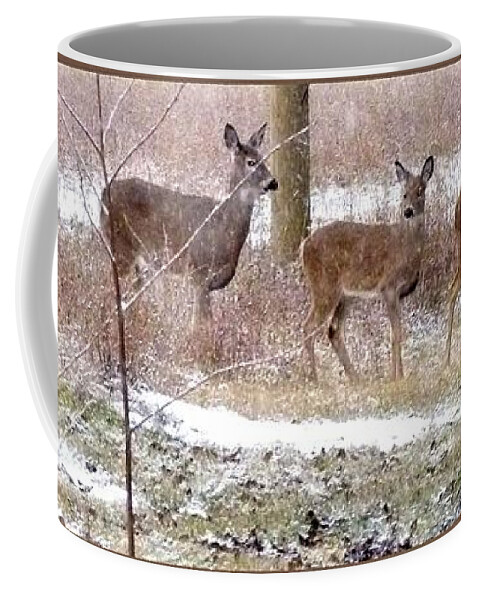 A Dusting On The Deer Coffee Mug featuring the photograph A Dusting On The Deer by Will Borden