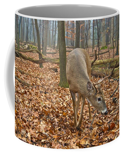 Animal Coffee Mug featuring the photograph A Eight Point Buck 1261 by Michael Peychich
