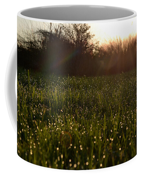 Grass Coffee Mug featuring the photograph A Field of Jewels by Melanie Moraga