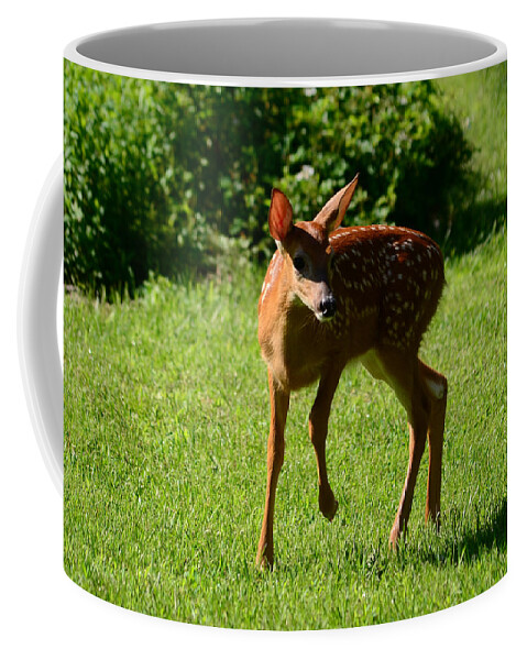 Deer Coffee Mug featuring the photograph A Fine Little Fawn by Lori Tambakis