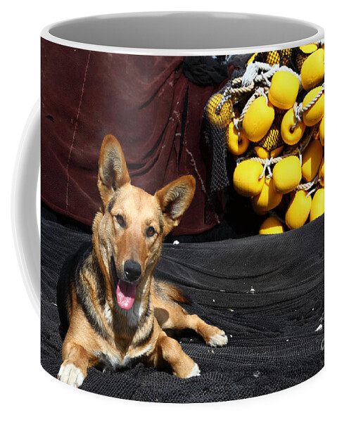 German Shepherd Dog Coffee Mug featuring the photograph A Fishermans Best Friend by James Brunker