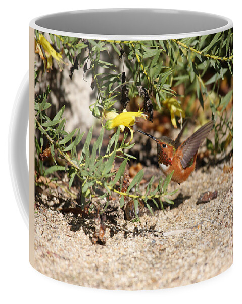 Allen's Coffee Mug featuring the photograph A Flying Jewel At The Garden by Steve Wolfe