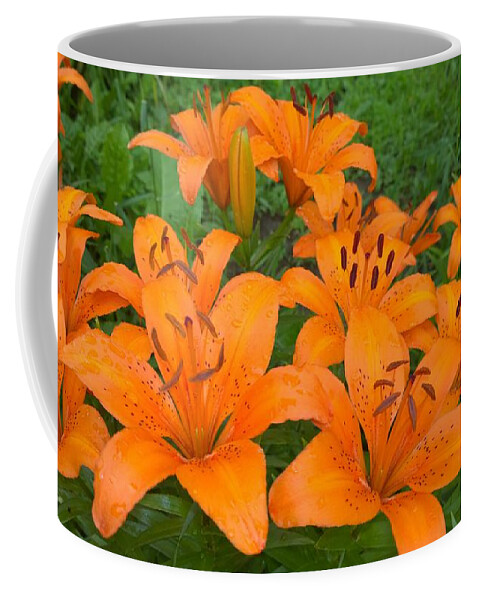 Lilys Coffee Mug featuring the photograph A garden full of Lilies by Jennifer E Doll
