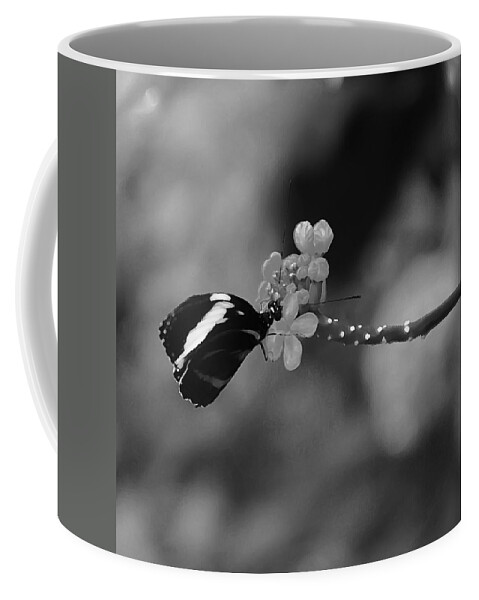 Butterfly Coffee Mug featuring the photograph A Gift by Aimee L Maher ALM GALLERY