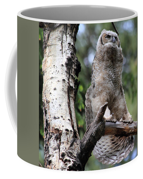 Great Horned Owl Coffee Mug featuring the photograph A good stretch by Shane Bechler