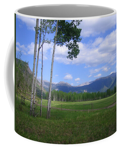 Northern British Columbia Coffee Mug featuring the photograph A Gorgeous Clearing by Betty-Anne McDonald