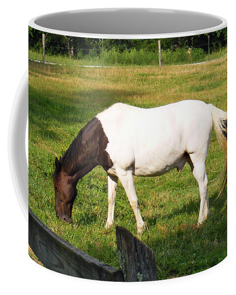 Duane Mccullough Coffee Mug featuring the photograph A Horse named Dipstick by Duane McCullough