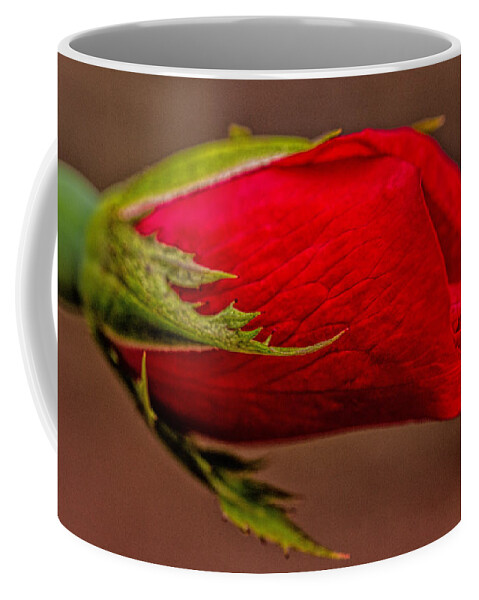 Art Prints Coffee Mug featuring the photograph A Knockout Bloom by Dave Bosse