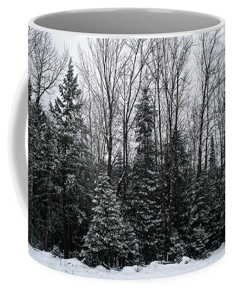 A Little Bit Of Snow Coffee Mug featuring the photograph A Little Bit Of Snow by Joy Nichols
