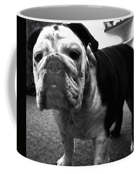 Bulldog Coffee Mug featuring the photograph A. Lotta Bull...Esq. by Robert McCubbin