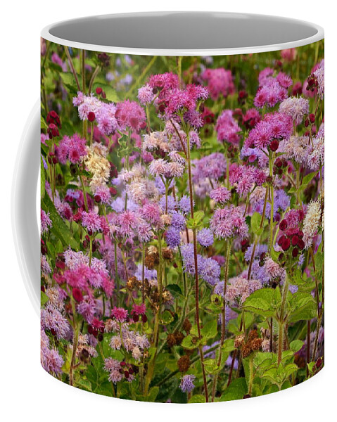 Colorful Small Flower Group Coffee Mug featuring the photograph A Lovely Fall Palette by Byron Varvarigos