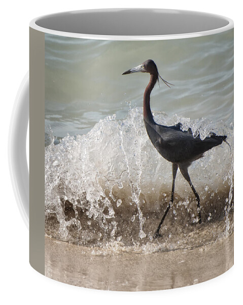 Jamaica Coffee Mug featuring the photograph A Morning Stroll Interrupted by Gary Slawsky