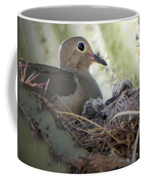 Mourning Dove Coffee Mug featuring the photograph A Mothers' Love by Deb Halloran