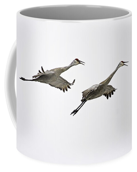 Sandhill Cranes Coffee Mug featuring the photograph A Pair Of Sandhill Cranes by Thomas Young