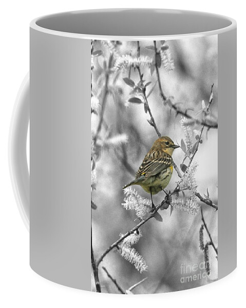 Bird Coffee Mug featuring the photograph A Palm Warbler on a Black and White Background by John Harmon