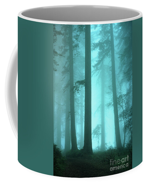 Redwoods Coffee Mug featuring the photograph A Place Of Awe by Bob Christopher