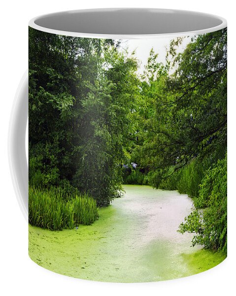 Pond Coffee Mug featuring the photograph A Pond Dream by Madeline Ellis